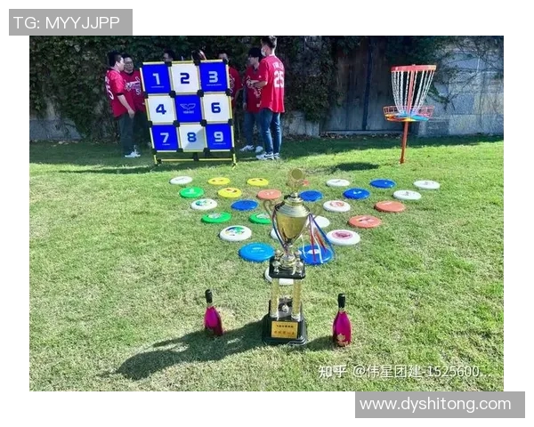 周丽独家分享飞盘运动技巧与心得体会助你轻松掌握飞盘乐趣