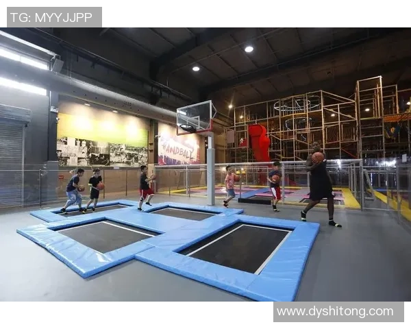 武汉极限运动队的转型之路与新兴热点分析